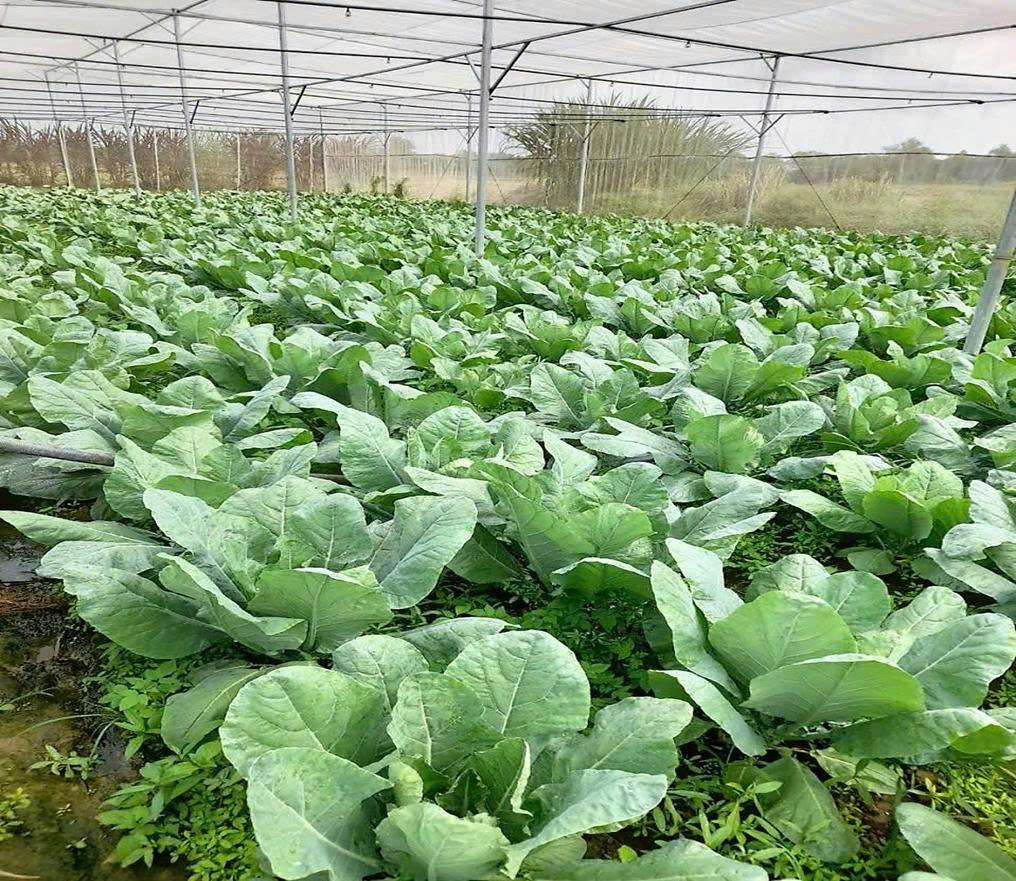 HỘI ĐỒNG NHÂN DÂN XÃ HÀM GIANG KHẢO SÁT THỰC TẾ CÁC MÔ HÌNH KINH TẾ, LÀNG NGHỀ TIÊU BIỂU